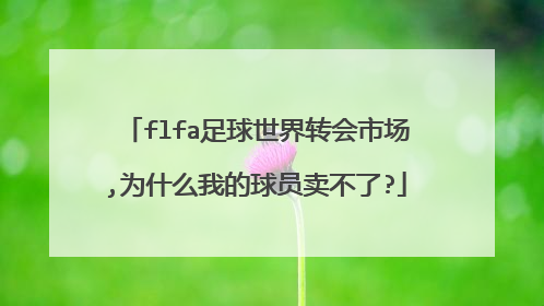 flfa足球世界转会市场,为什么我的球员卖不了?
