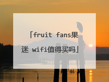 fruit fans果迷 wifi值得买吗