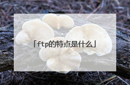 ftp的特点是什么