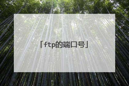 ftp的端口号