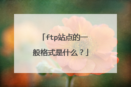 ftp站点的一般格式是什么？