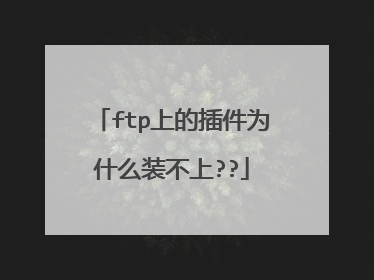 ftp上的插件为什么装不上??