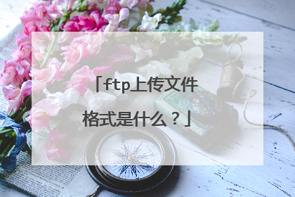 ftp上传文件格式是什么？