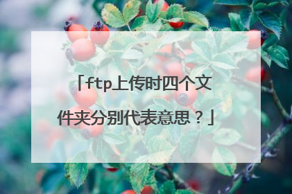 ftp上传时四个文件夹分别代表意思？