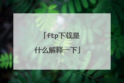ftp下载是什么解释一下