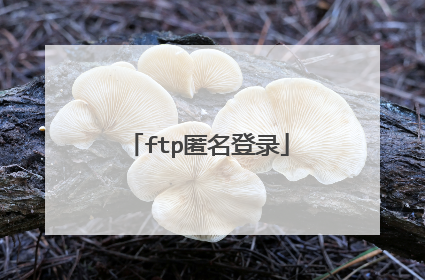 ftp匿名登录
