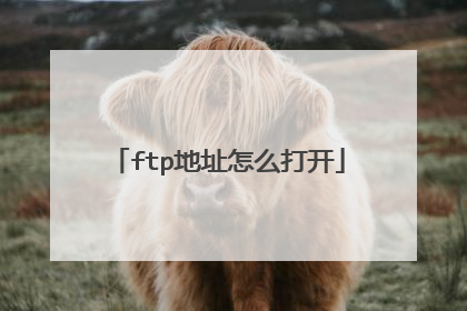 ftp地址怎么打开