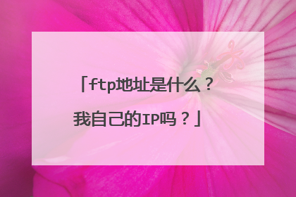 ftp地址是什么?我自己的IP吗?