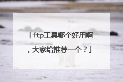 ftp工具哪个好用啊，大家给推荐一个？