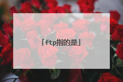 ftp指的是