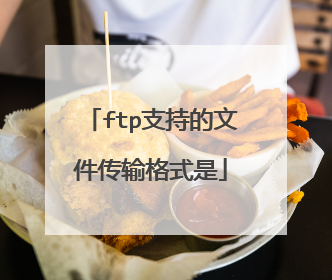 ftp支持的文件传输格式是
