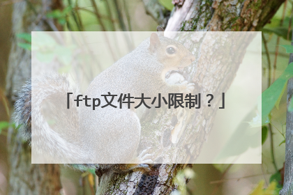 ftp文件大小限制？