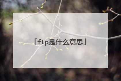 ftp是什么意思