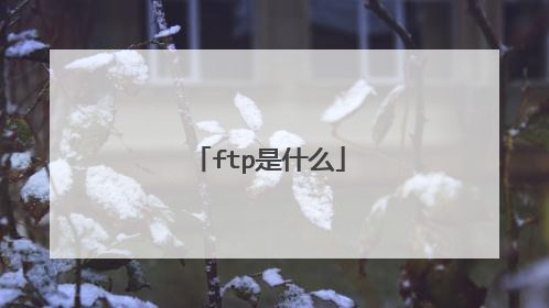 ftp是什么