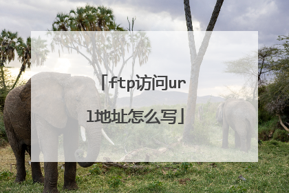 ftp访问url地址怎么写