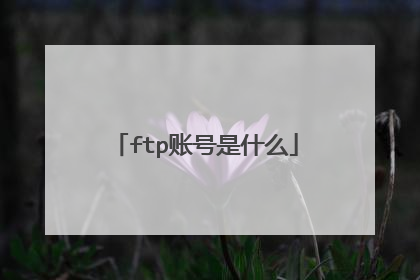 ftp账号是什么