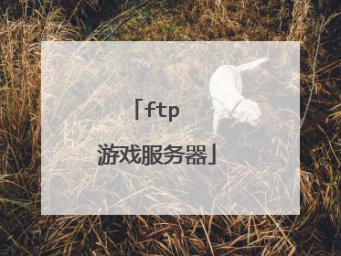 ftp  游戏服务器