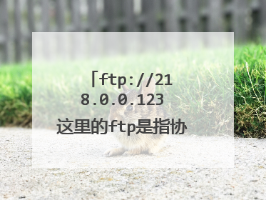 ftp://218.0.0.123这里的ftp是指协议还是文件传输?
