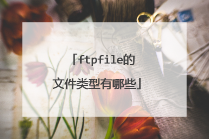 ftpfile的文件类型有哪些