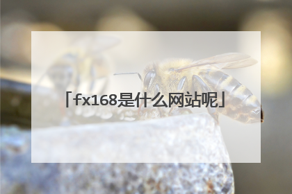 fx168是什么网站呢