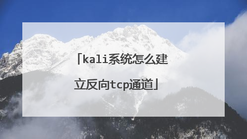 kali系统怎么建立反向tcp通道