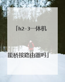 h2-3一体机能桥接路由器吗