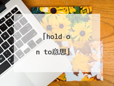 hold on to意思
