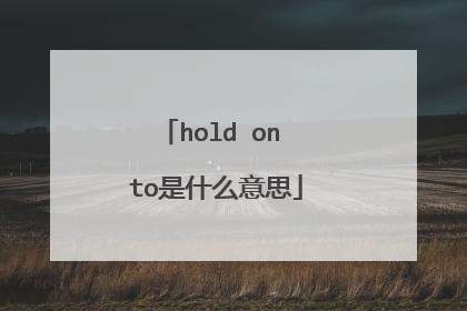 hold on to是什么意思
