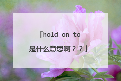 hold on to 是什么意思啊？？