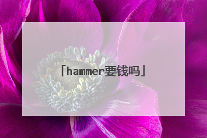 hammer要钱吗