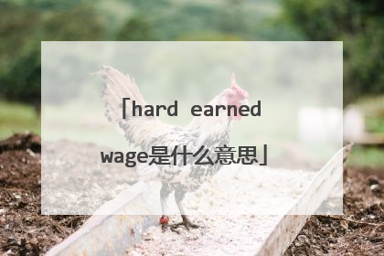 hard earned wage是什么意思