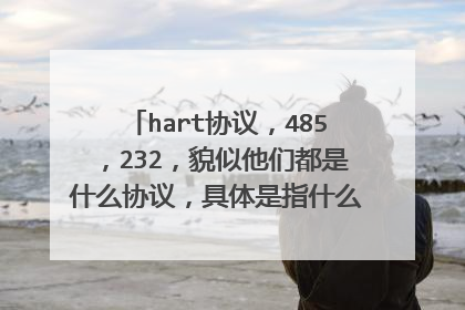 hart协议,485,232,貌似他们都是什么协议,具体是指什么呢,在仪表中经常见到