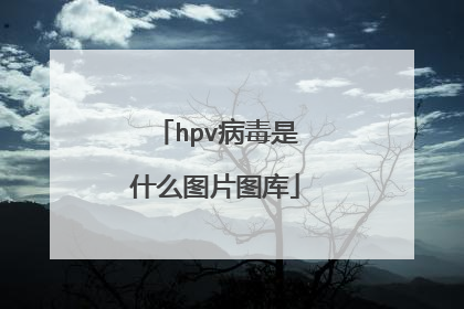 hpv病毒是什么图片图库