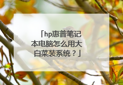 hp惠普笔记本电脑怎么用大白菜装系统?