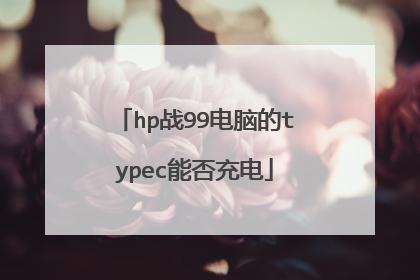 hp战99电脑的typec能否充电