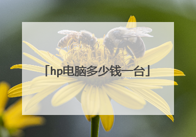 hp电脑多少钱一台