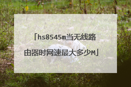 hs8545m当无线路由器时网速最大多少M