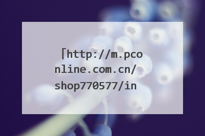 http://m.pconline.com.cn/shop770577/index.这是个骗钱的网站,名字叫北京手机旗舰店。