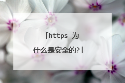 https 为什么是安全的?