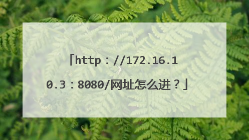 http://172.16.10.3:8080/网址怎么进?