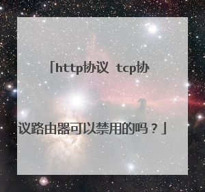http协议 tcp协议路由器可以禁用的吗？