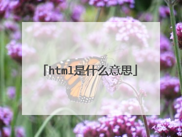 html是什么意思