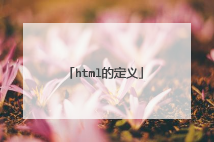 html的定义