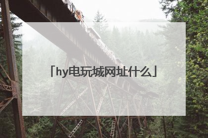 hy电玩城网址什么