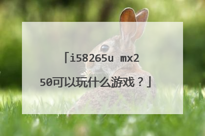 i58265u mx250可以玩什么游戏?