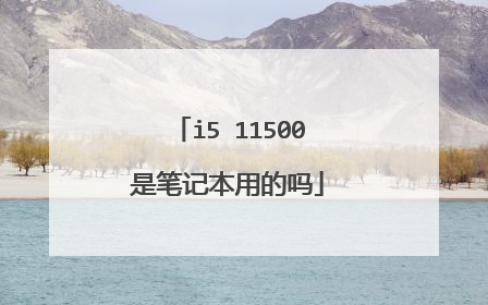 i5 11500是笔记本用的吗