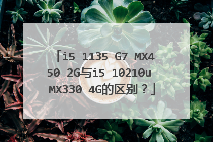 i5 1135 G7 MX450 2G与i5 10210u MX330 4G的区别?