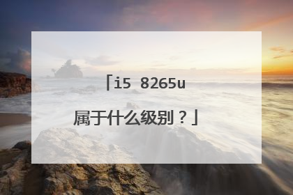 i5 8265u属于什么级别？