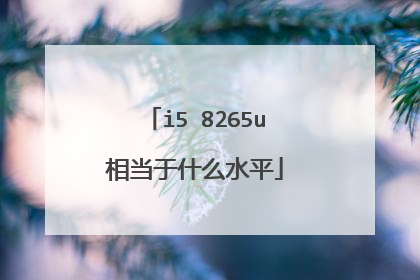 i5 8265u相当于什么水平