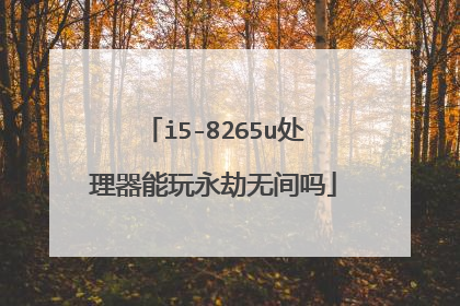 i5-8265u处理器能玩永劫无间吗